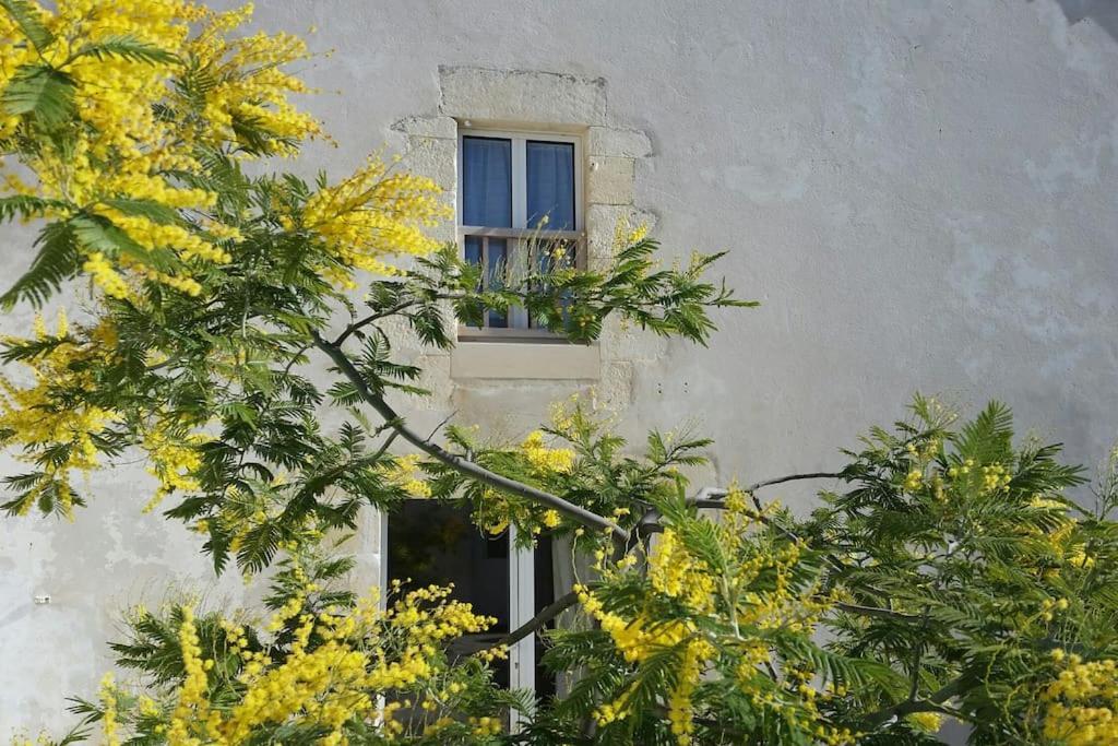 Le Chai Rit Villa Rivedoux-Plage Exteriör bild